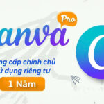Nâng cấp Canva Pro Giá Rẻ