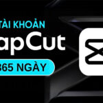 Tài khoản Capcut Pro giá rẻ